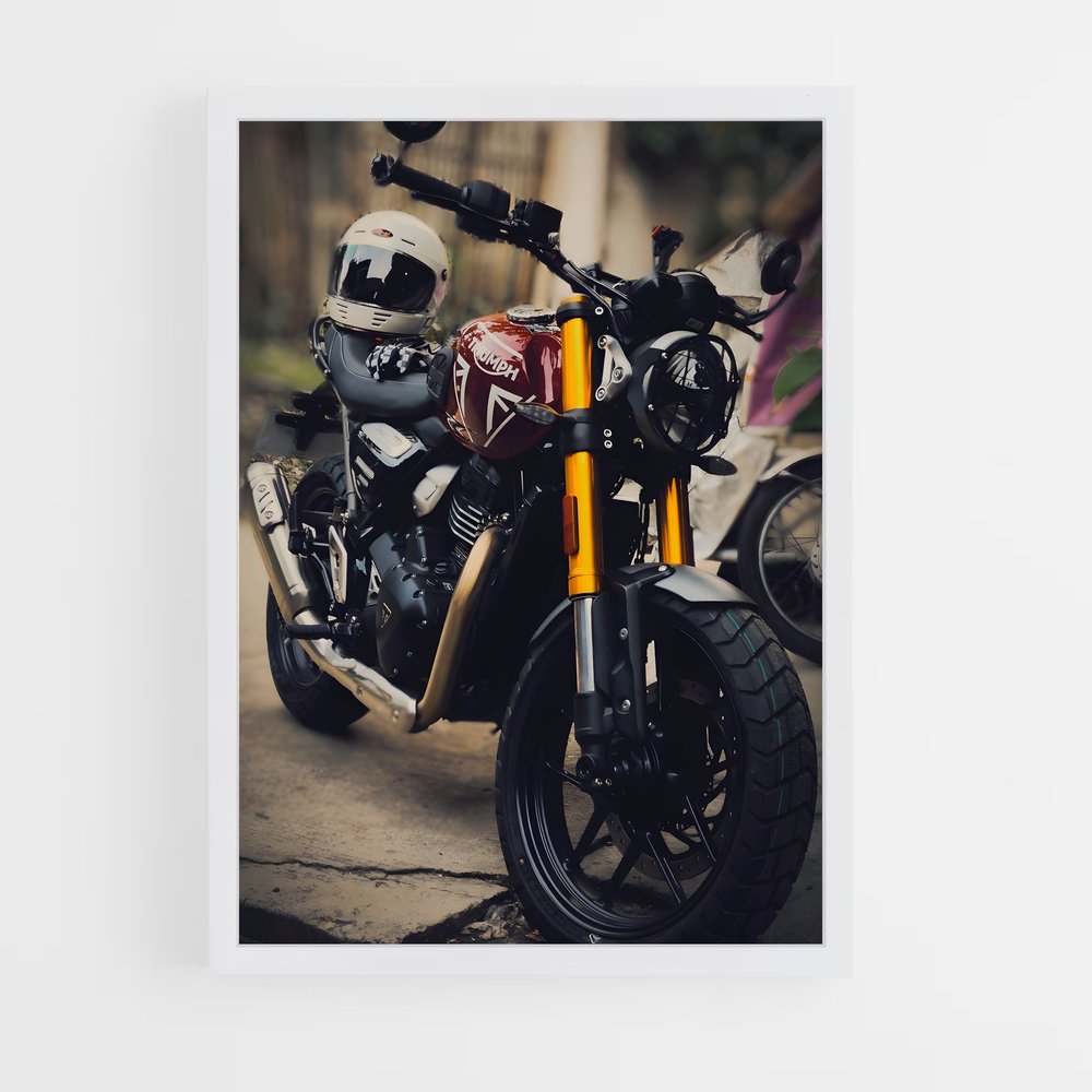 Poster Street Racer (vue 3)